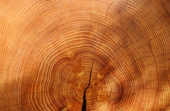 Frez do planowania: doskonałość wyrównywania drewna